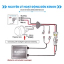 Bóng Xenon D1S 35W P32D-2 4X1 NX1S Hiệu Neolux  4300K / 3200lm  NX1S Hiệu NEOLUX