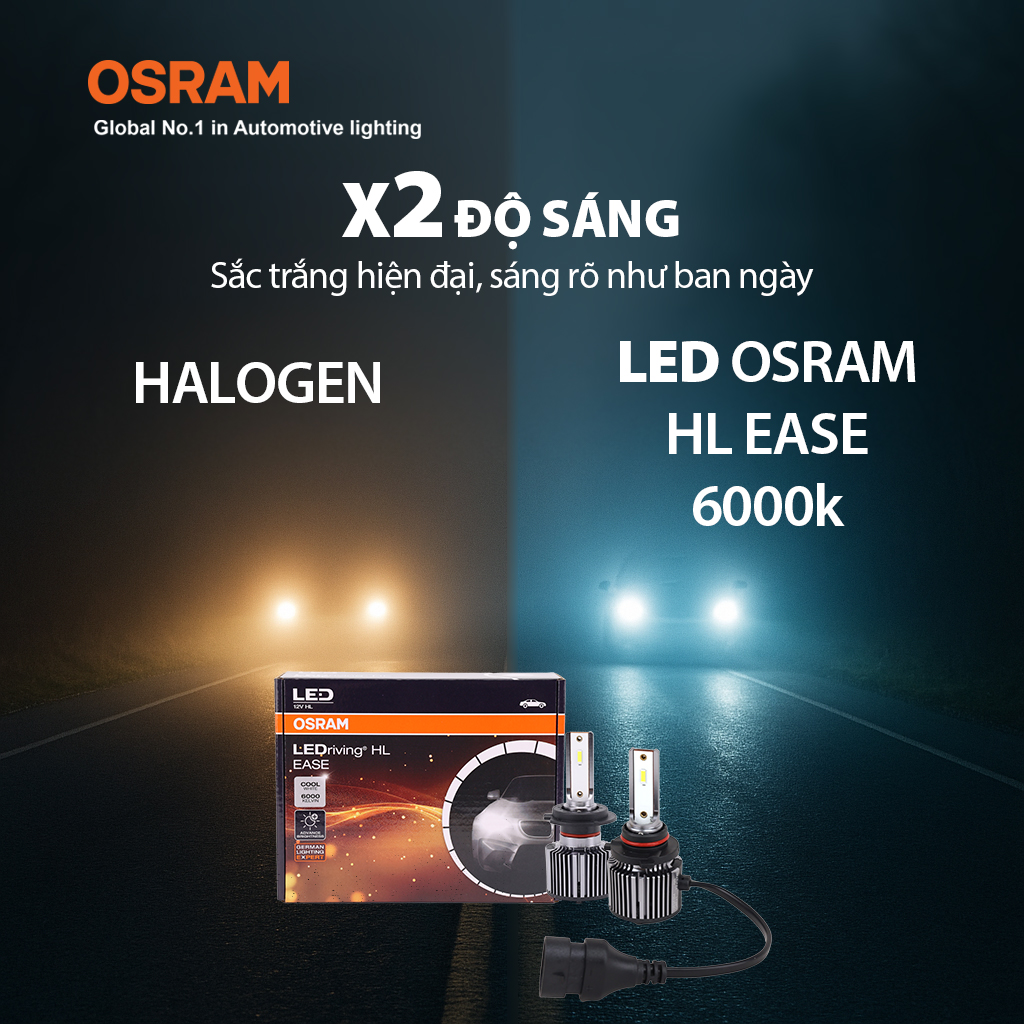 Bóng Led Grass H1 F6150CW 12V 25W 6000K 2 bóng/hộp Hiệu Osram
