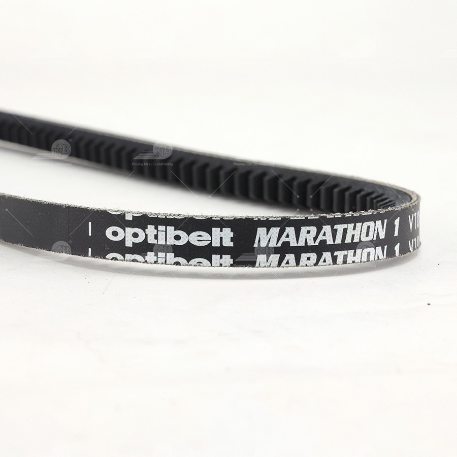 Dây curoa thang Optibelt  V10x675