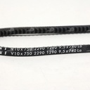 Dây curoa thang Optibelt  V10x750