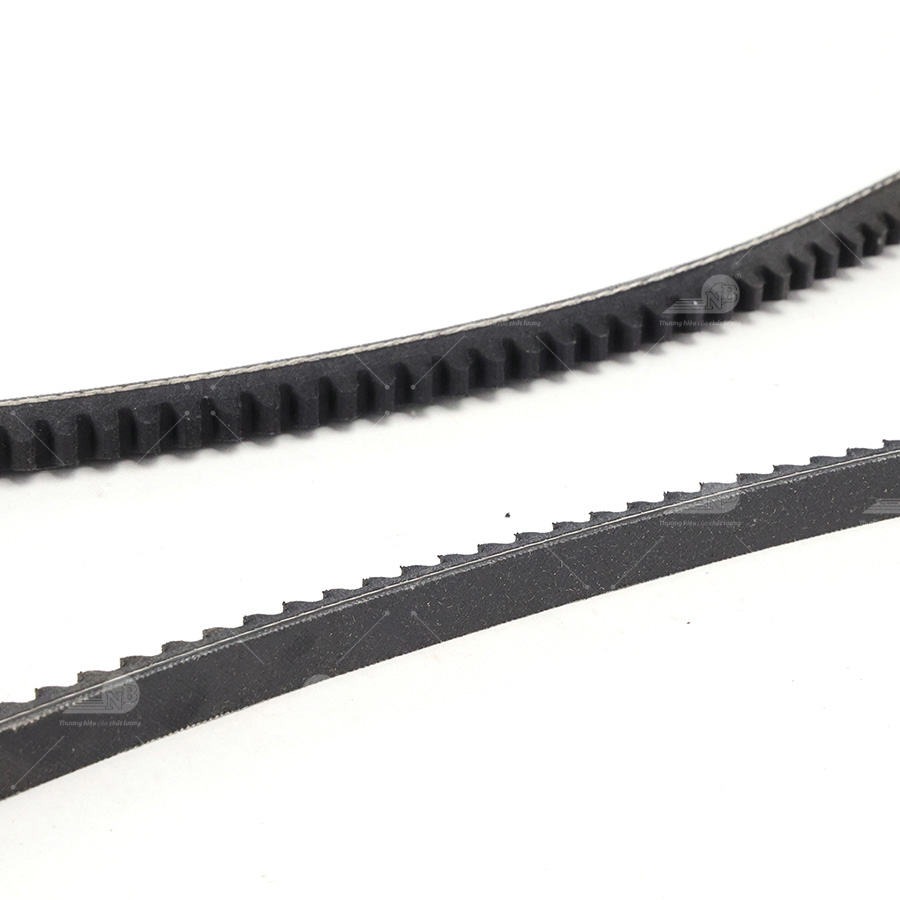 Dây curoa thang Optibelt  V10x955