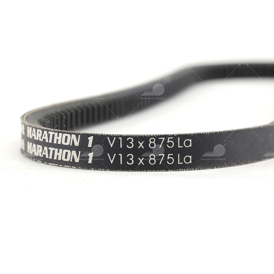 Dây curoa thang Optibelt  V13x875