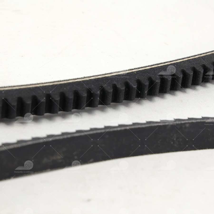 Dây curoa thang Optibelt  V13x905