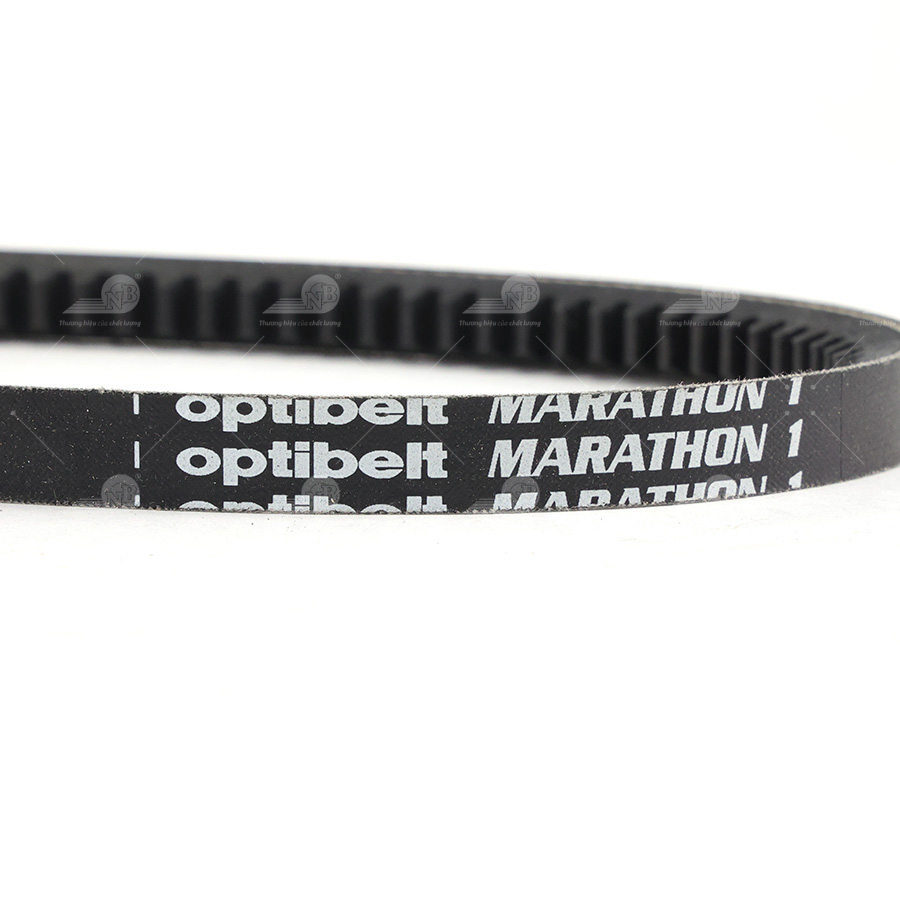 Dây curoa thang Optibelt  V13x975