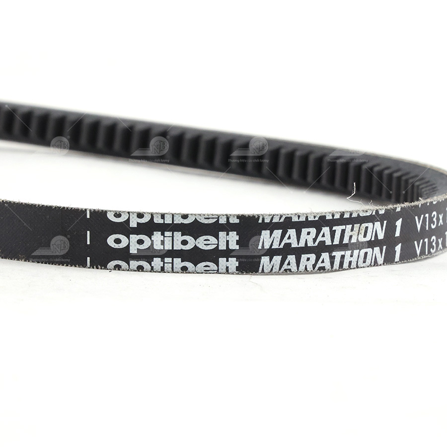 Dây curoa thang Optibelt  V13x1550