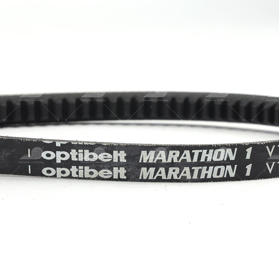 Dây curoa thang Optibelt  V13x1560