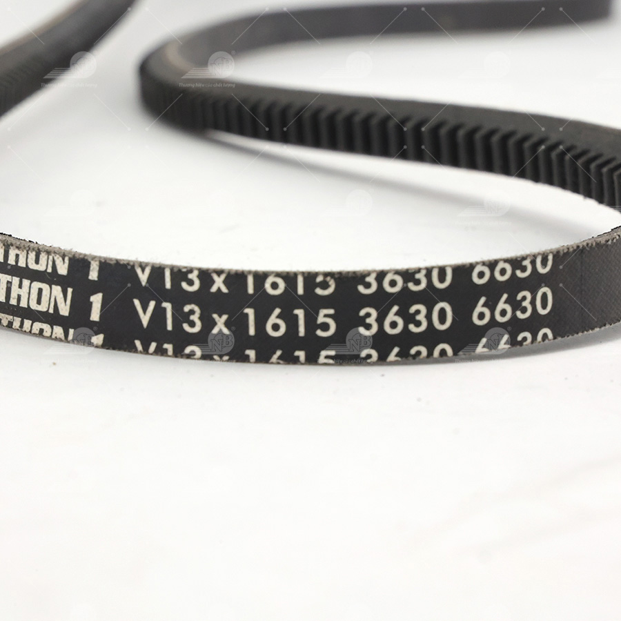 Dây curoa thang Optibelt  V13x1615