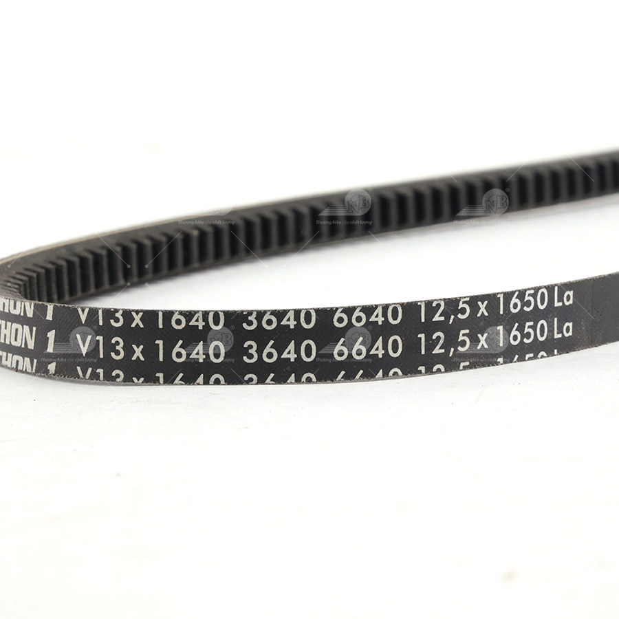 Dây curoa thang Optibelt  V13x1640