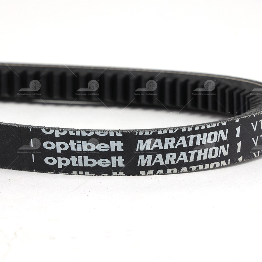 Dây curoa thang Optibelt  V15x1105