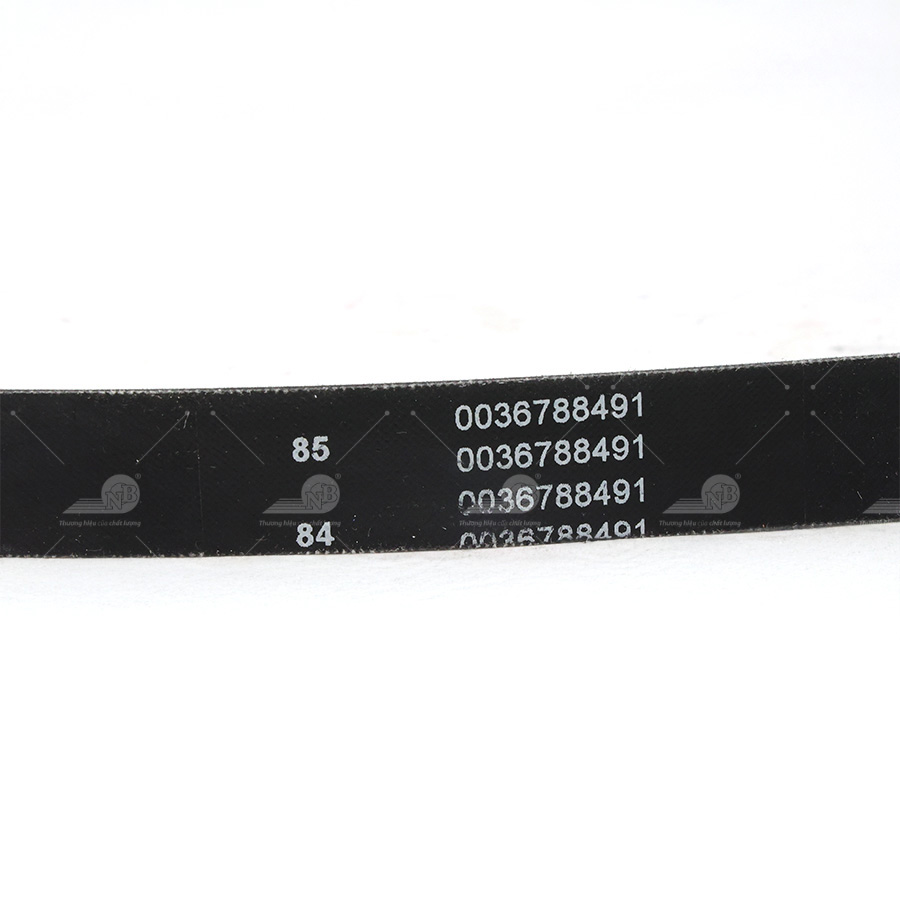 Dây curoa thang Optibelt  V15x1610