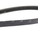 Dây curoa thang Optibelt  V15x2045