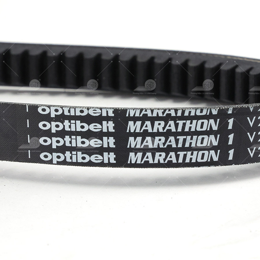 Dây curoa thang Optibelt  V20x1170