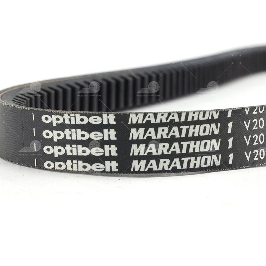Dây curoa thang Optibelt  V20x1195
